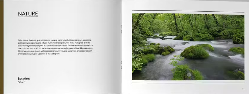 photography company profile - brochure template