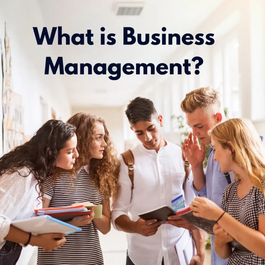 what is business management in business assignment writing