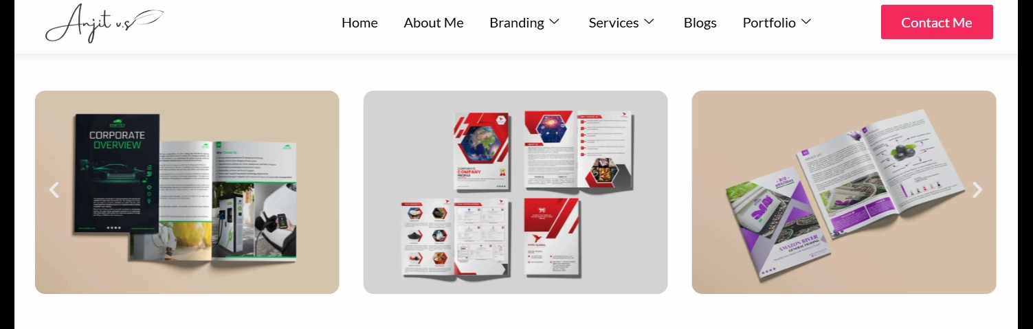 Anji vs : Company profile samples