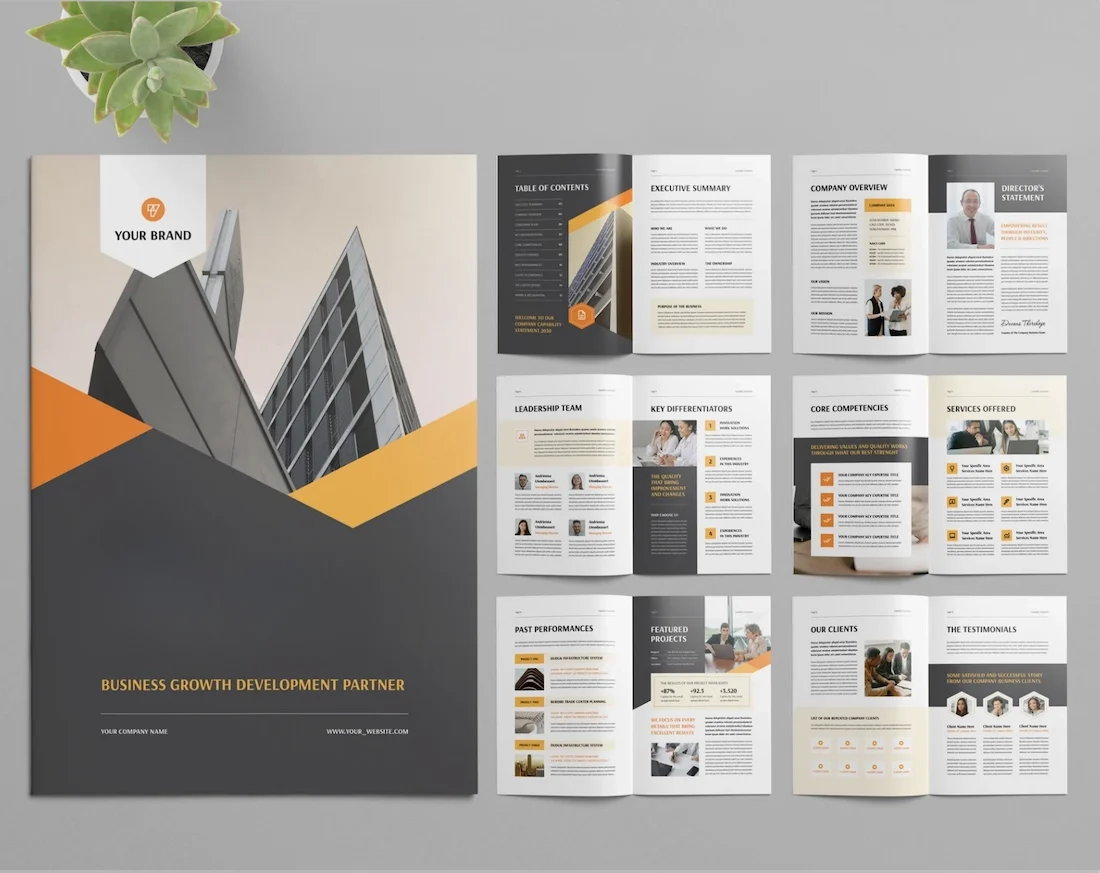 Business profile writing services in USA