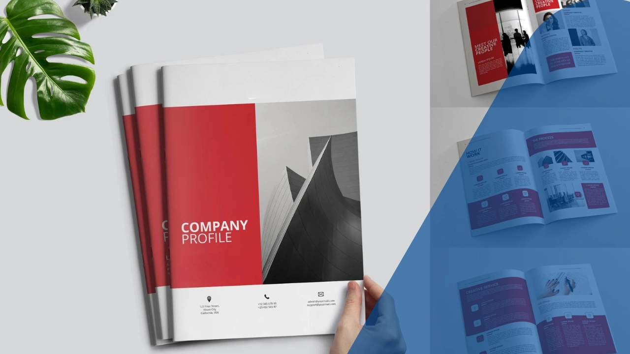 A company profile sample image which showscase Industry-Specific Profiles