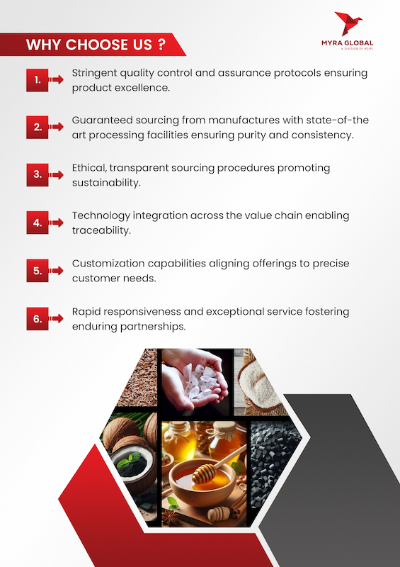 Myra Global Pdf (2)_page-0004