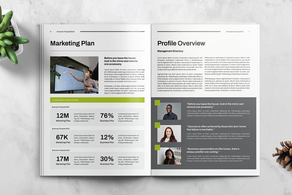 A sample Image for Government Tender Proposals